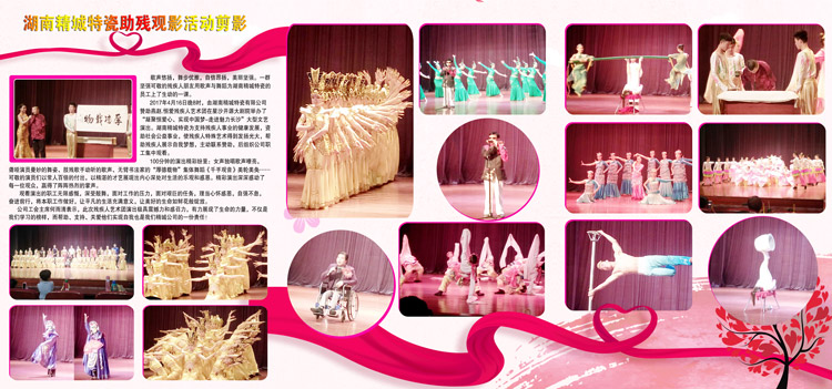 湖南31399金沙娱场城赞助燕赵·恒爱残疾人艺术团圆满演出