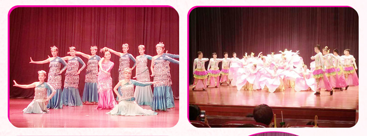 湖南31399金沙娱场城赞助燕赵·恒爱残疾人艺术团圆满演出