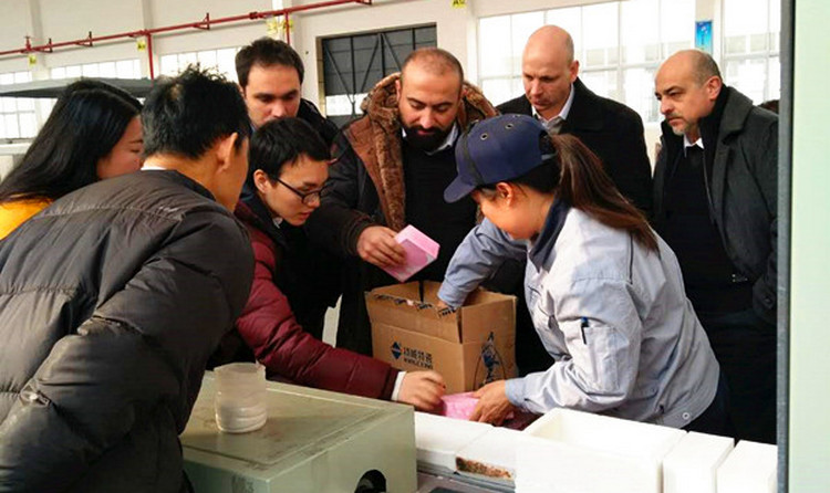 31399金沙娱场城(中国)有限公司官网