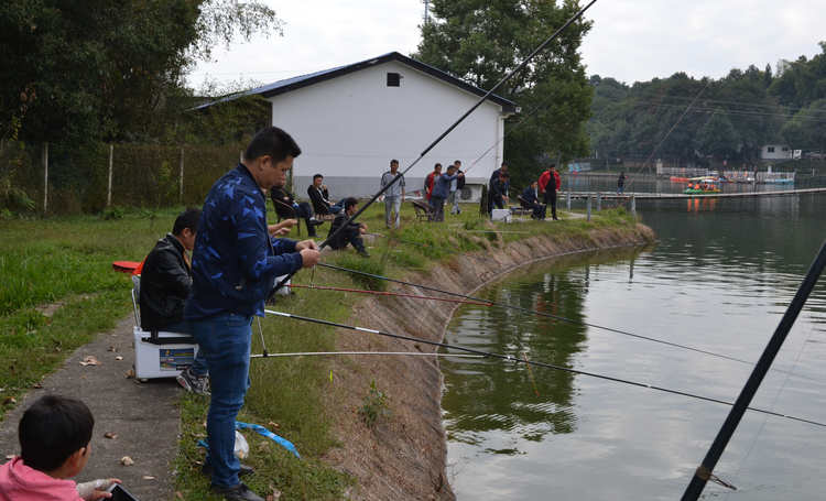 31399金沙娱场城(中国)有限公司官网